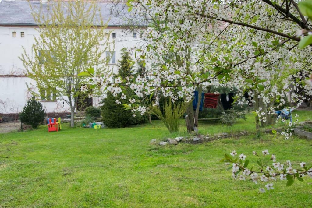 Bauernhof Gospodarstwo U Krakusa Doboszowice